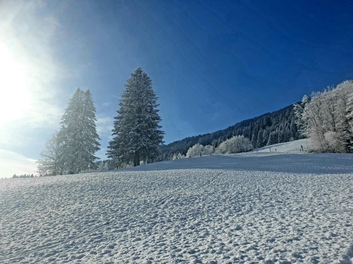 Unterbiberghof Villa Saalfelden Bagian luar foto